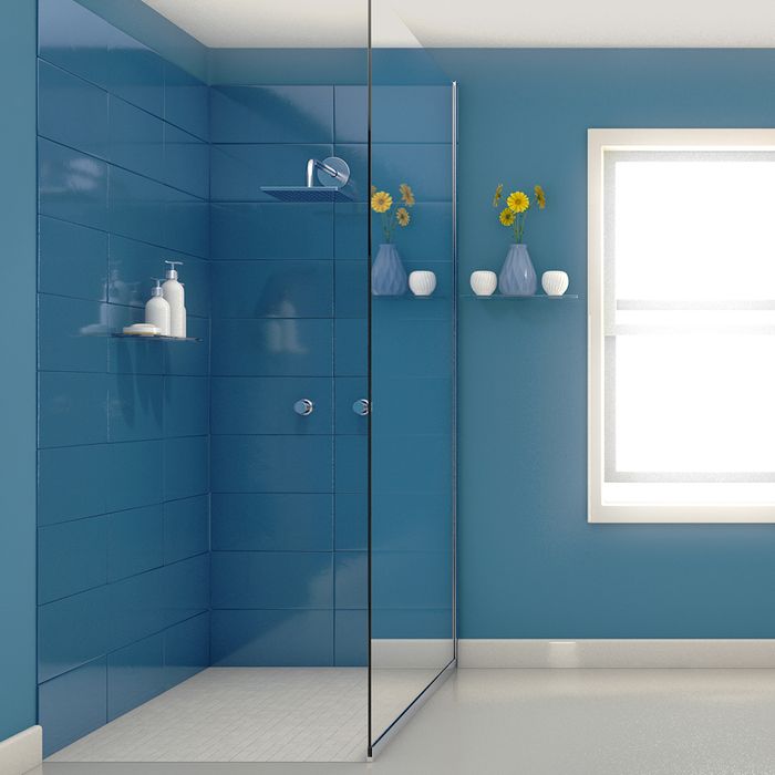 Modern bathroom with frameless shower enclosure with door